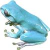 https://www.americanbreeder.com/images/com_adsmanager/categories/7083cat_t.jpg
