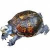 https://www.americanbreeder.com/images/com_adsmanager/categories/709cat_t.jpg