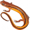 https://www.americanbreeder.com/images/com_adsmanager/categories/7100cat_t.jpg