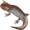 https://www.americanbreeder.com/images/com_adsmanager/categories/7123cat_t.jpg
