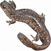https://www.americanbreeder.com/images/com_adsmanager/categories/7128cat_t.jpg