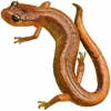 https://www.americanbreeder.com/images/com_adsmanager/categories/7144cat_t.jpg