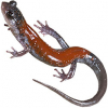 https://www.americanbreeder.com/images/com_adsmanager/categories/7147cat_t.jpg