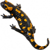 https://www.americanbreeder.com/images/com_adsmanager/categories/7148cat_t.jpg