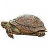 https://www.americanbreeder.com/images/com_adsmanager/categories/714cat_t.jpg