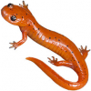 https://www.americanbreeder.com/images/com_adsmanager/categories/7151cat_t.jpg