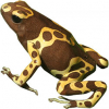 https://www.americanbreeder.com/images/com_adsmanager/categories/7155cat_t.jpg