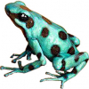 https://www.americanbreeder.com/images/com_adsmanager/categories/7158cat_t.jpg