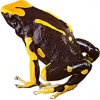 https://www.americanbreeder.com/images/com_adsmanager/categories/7167cat_t.jpg