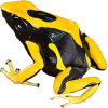 https://www.americanbreeder.com/images/com_adsmanager/categories/7169cat_t.jpg