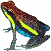 https://www.americanbreeder.com/images/com_adsmanager/categories/7174cat_t.jpg