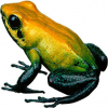https://www.americanbreeder.com/images/com_adsmanager/categories/7175cat_t.jpg