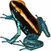 https://www.americanbreeder.com/images/com_adsmanager/categories/7177cat_t.jpg