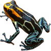 https://www.americanbreeder.com/images/com_adsmanager/categories/7179cat_t.jpg