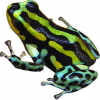 https://www.americanbreeder.com/images/com_adsmanager/categories/7180cat_t.jpg