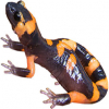 https://www.americanbreeder.com/images/com_adsmanager/categories/7183cat_t.jpg