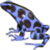 https://www.americanbreeder.com/images/com_adsmanager/categories/7189cat_t.jpg
