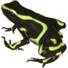 https://www.americanbreeder.com/images/com_adsmanager/categories/7195cat_t.jpg