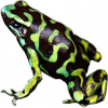 https://www.americanbreeder.com/images/com_adsmanager/categories/7199cat_t.jpg