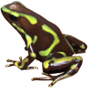 https://www.americanbreeder.com/images/com_adsmanager/categories/7202cat_t.jpg