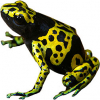 https://www.americanbreeder.com/images/com_adsmanager/categories/7205cat_t.jpg