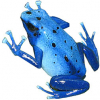 https://www.americanbreeder.com/images/com_adsmanager/categories/7207cat_t.jpg