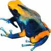 https://www.americanbreeder.com/images/com_adsmanager/categories/7208cat_t.jpg