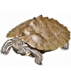 https://www.americanbreeder.com/images/com_adsmanager/categories/720cat_t.jpg