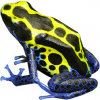 https://www.americanbreeder.com/images/com_adsmanager/categories/7212cat_t.jpg