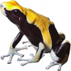 https://www.americanbreeder.com/images/com_adsmanager/categories/7215cat_t.jpg