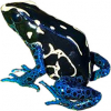 https://www.americanbreeder.com/images/com_adsmanager/categories/7218cat_t.jpg