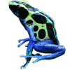 https://www.americanbreeder.com/images/com_adsmanager/categories/7219cat_t.jpg