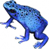 https://www.americanbreeder.com/images/com_adsmanager/categories/7220cat_t.jpg