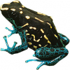 https://www.americanbreeder.com/images/com_adsmanager/categories/7221cat_t.jpg