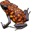 https://www.americanbreeder.com/images/com_adsmanager/categories/7225cat_t.jpg