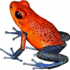 https://www.americanbreeder.com/images/com_adsmanager/categories/7226cat_t.jpg