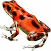 https://www.americanbreeder.com/images/com_adsmanager/categories/7238cat_t.jpg