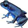 https://www.americanbreeder.com/images/com_adsmanager/categories/7242cat_t.jpg