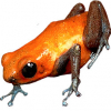 https://www.americanbreeder.com/images/com_adsmanager/categories/7246cat_t.jpg