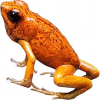 https://www.americanbreeder.com/images/com_adsmanager/categories/7255cat_t.jpg