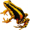 https://www.americanbreeder.com/images/com_adsmanager/categories/7272cat_t.jpg