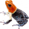 https://www.americanbreeder.com/images/com_adsmanager/categories/7275cat_t.jpg