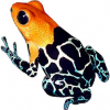 https://www.americanbreeder.com/images/com_adsmanager/categories/7276cat_t.jpg