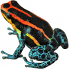 https://www.americanbreeder.com/images/com_adsmanager/categories/7279cat_t.jpg