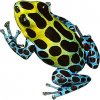 https://www.americanbreeder.com/images/com_adsmanager/categories/7281cat_t.jpg