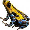 https://www.americanbreeder.com/images/com_adsmanager/categories/7286cat_t.jpg