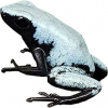 https://www.americanbreeder.com/images/com_adsmanager/categories/7288cat_t.jpg