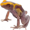 https://www.americanbreeder.com/images/com_adsmanager/categories/7297cat_t.jpg
