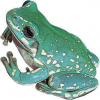 https://www.americanbreeder.com/images/com_adsmanager/categories/7302cat_t.jpg