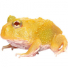 https://www.americanbreeder.com/images/com_adsmanager/categories/7305cat_t.jpg